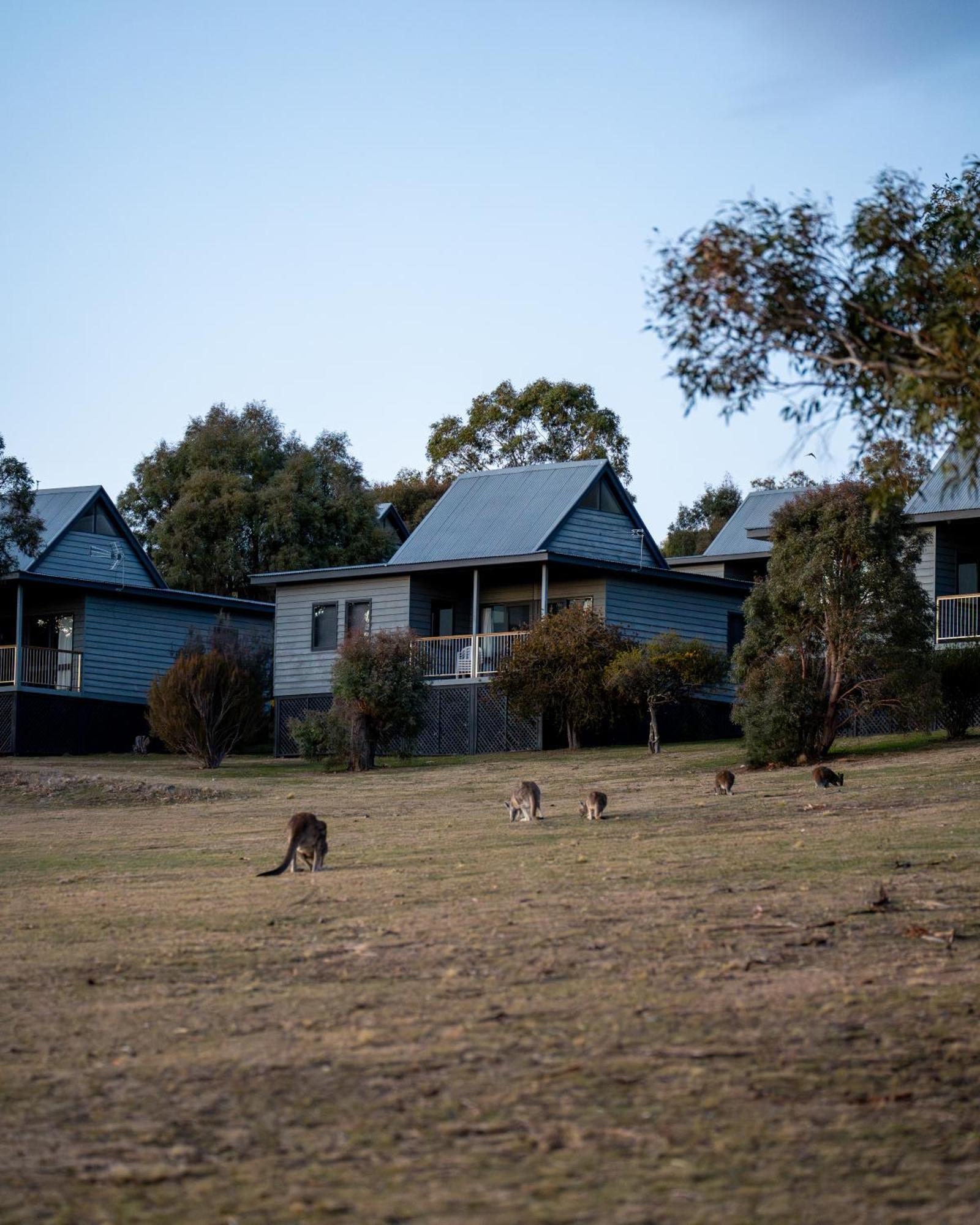 Adventist Alpine Village Jindabyne Εξωτερικό φωτογραφία